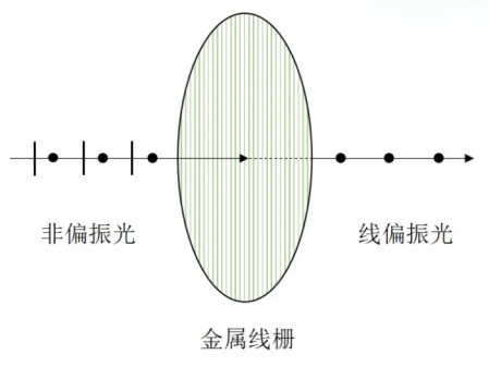 下面是金属线栅偏振片的示意图,线栅的间距小于入射光波长
